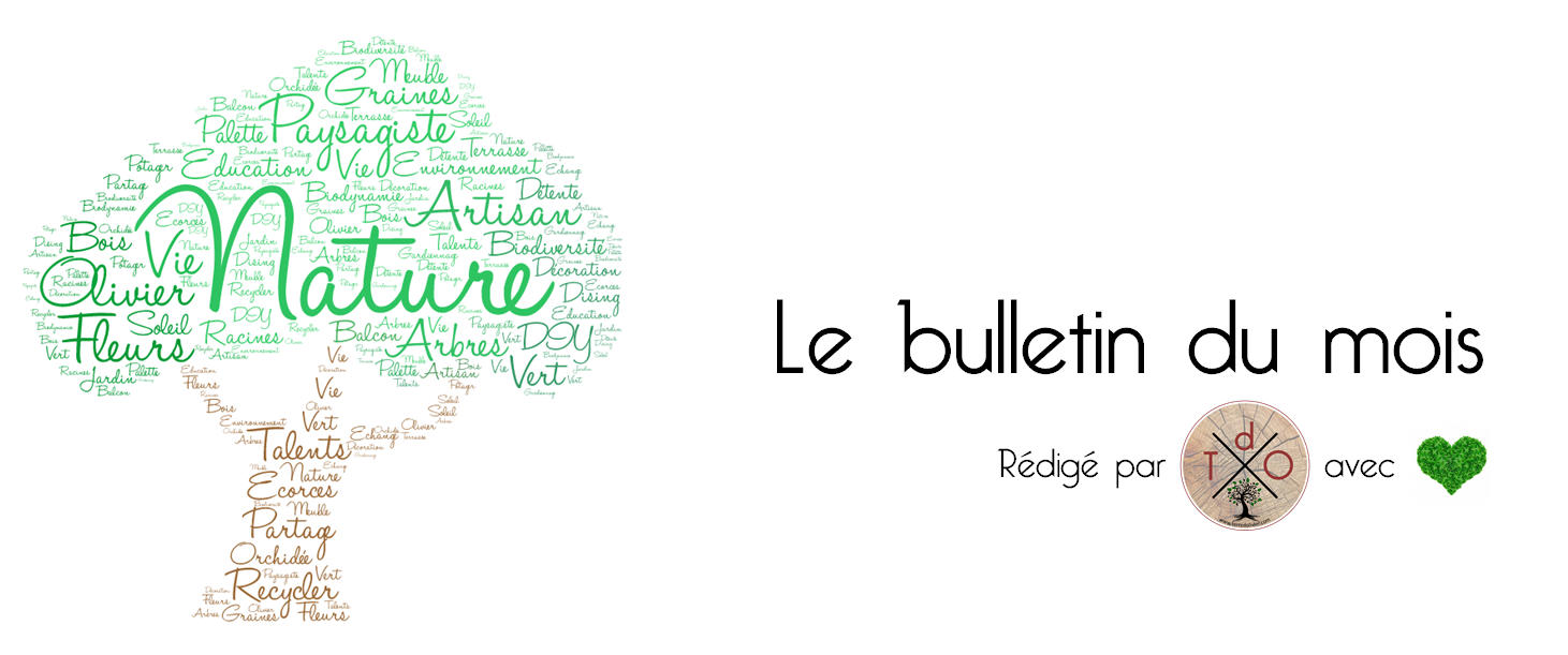 Bulletin Terre d'Olivier