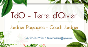 Blog Terre d'olivier
