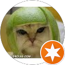 Julien Renaud profile picture