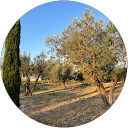 Sylvie BRUN profile picture